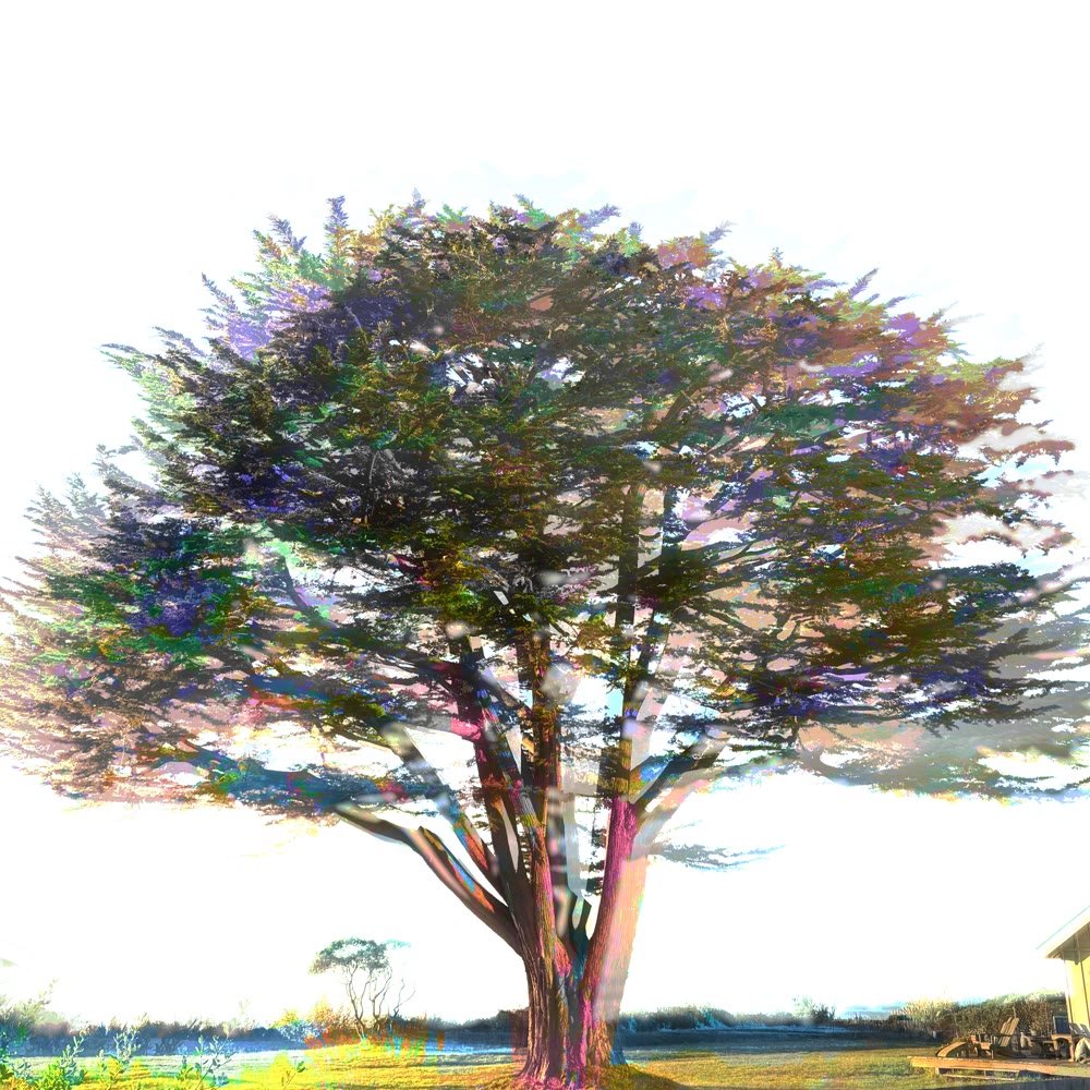 Both And - EP — album cover